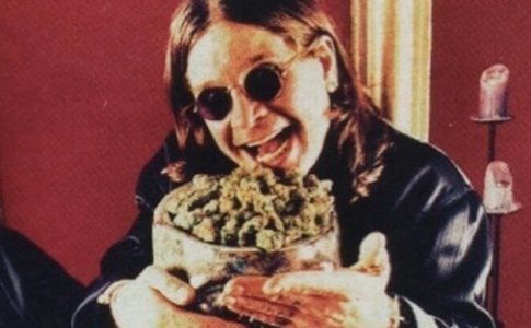 ozzy.jpg ozzy.jpg
