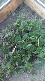 IMG_20250913_173004.jpg