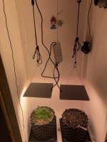 IMG_0497.jpeg