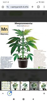 Screenshot_2025-09-25-12-17-34-949_com.android.chrome.jpg