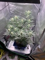 IMG_8912.jpeg