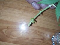 IMG_20251018_220254.jpg