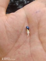 IMG_20251022_091542.jpg