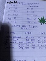 IMG_1354.jpeg