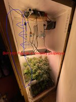 IMG_1389.jpeg