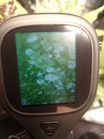 IMG_20251108_193802.jpg