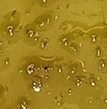 20251205_195213.jpg