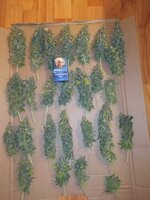 IMG_20251203_200045.jpg