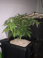 IMG_9326.jpeg