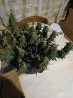 IMG20251021210414.jpg