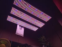 IMG_20250408_181906.jpg