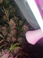 IMG_20260108_115836.jpg
