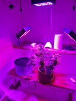 20260125_095315.jpg