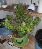 20260126_062939.jpg