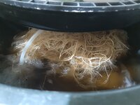 20260209_062617.jpg