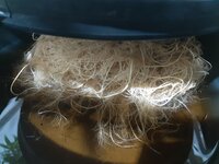20260211_060223.jpg