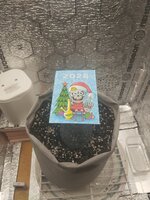 Испаночка