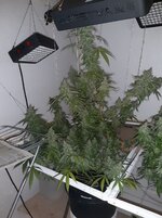 20260214_064834.jpg