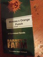 IMG_20260226_185738.jpg