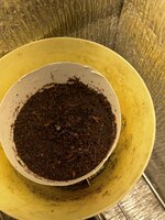 IMG_3308.jpeg