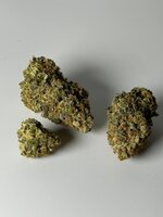 IMG_6860.jpeg
