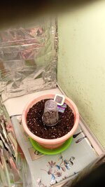 IMG_20260310_112438_624.jpg