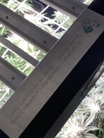IMG_1057.jpeg