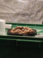 IMG_20260412_104226.jpg