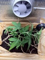 IMG_1436.jpeg