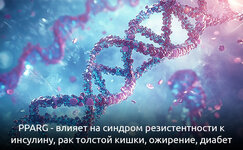 pparg-metabolicheskoe-chudo__UHX8m2ZKH8DsZTp2.jpg pparg-metabolicheskoe-chudo__UHX8m2ZKH8DsZTp2.jpg