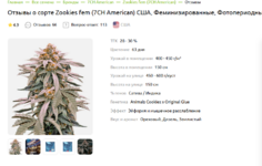 Без имени.png