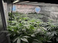 Permanent Marker & super boof