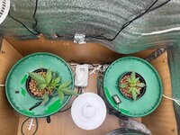 1 — копия.JPG 1 — копия.JPG