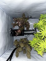 приятный бонус от команды Семяныча