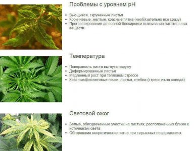 0F991F74-3B69-4261-8B55-5CE7E6BF0422.jpeg