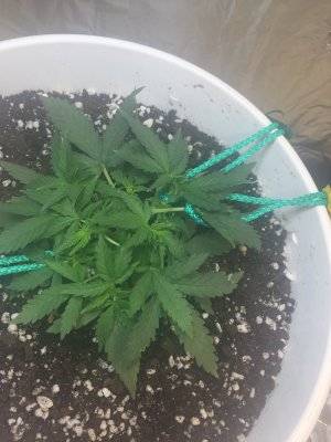 92C097AA-E8D6-4EE4-97FE-9812882BFD50.jpeg