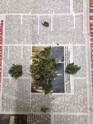 1A07595E-9E72-4BA9-AA5C-26E0DE3C2E53.jpeg