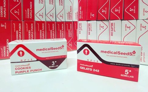 Сидбанк Medical Seeds Сидбанк Medical Seeds