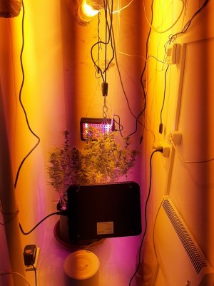 20221102_140704.jpg