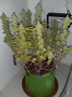 20221105_121944.jpg