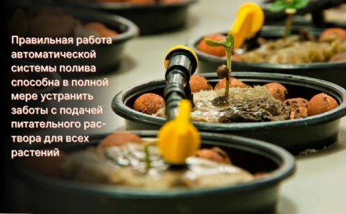 Системы полива и подкормки – конопля сама растет Системы полива и подкормки – конопля сама растет