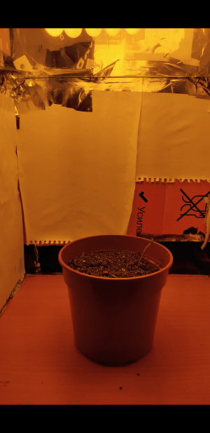 S30317-124706.png