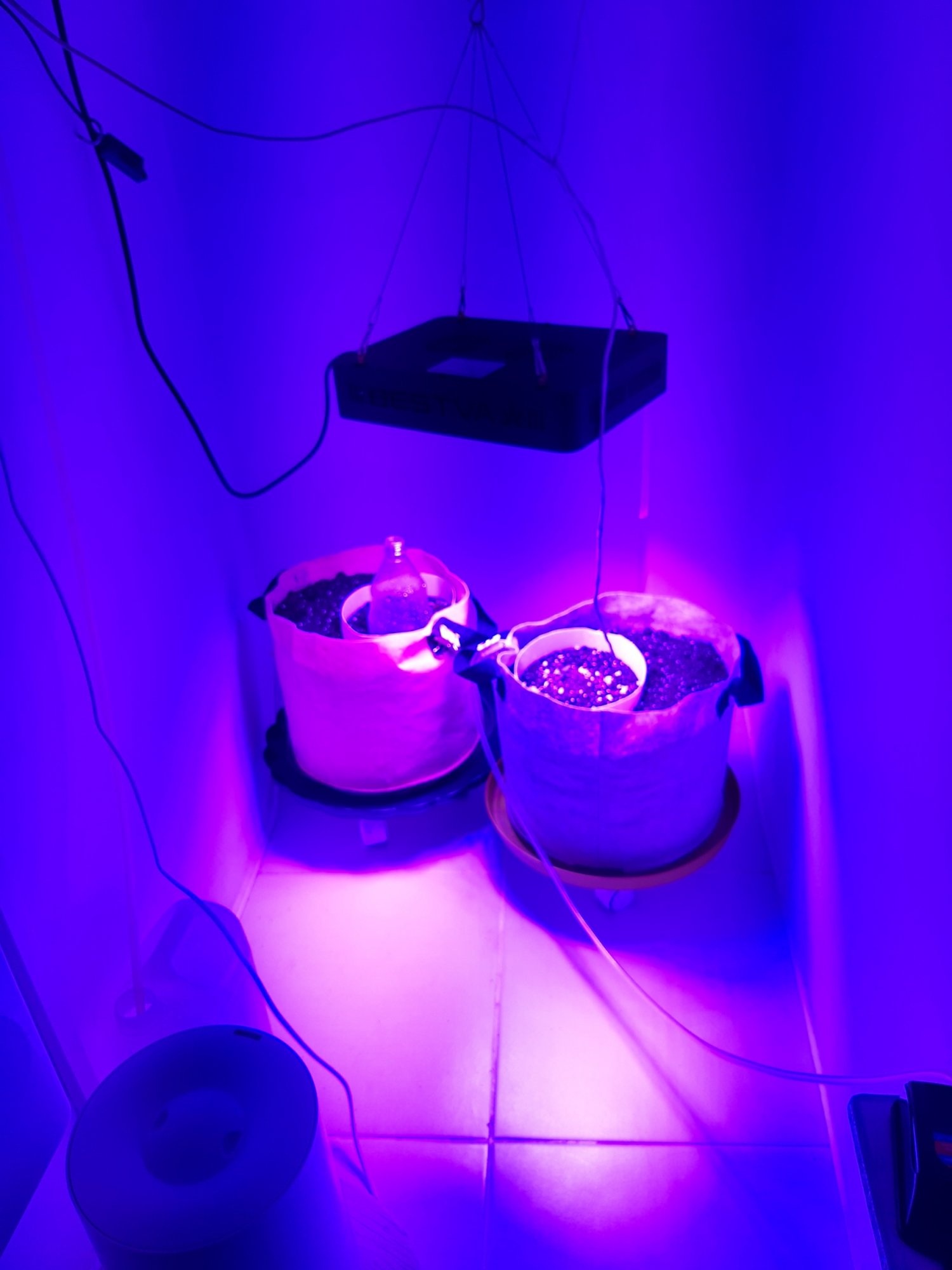 20230414_182222.jpg