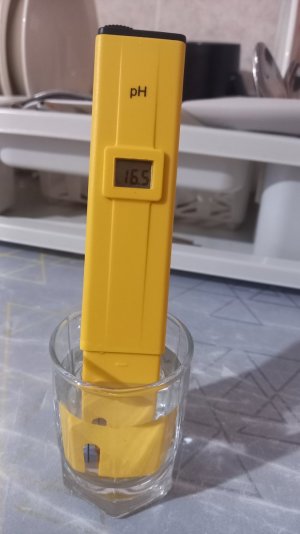 1688158010211231668155063556141.jpg