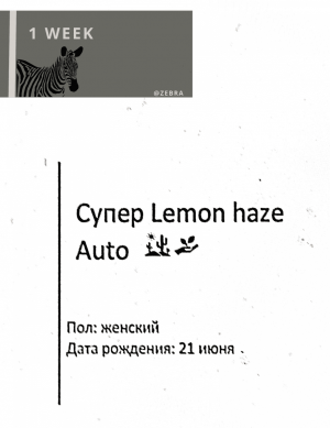 708EC89F-98D2-4F8F-A42F-8ABFFD8AA02C.png