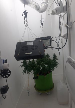 20230923_211234.jpg