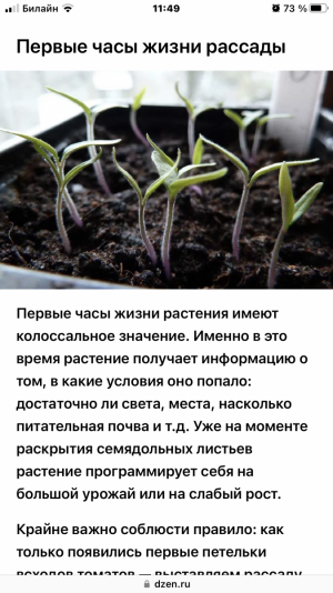 IMG_3996.png