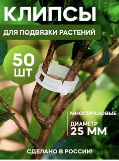 IMG_4137.jpeg