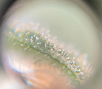 1695894067862.png