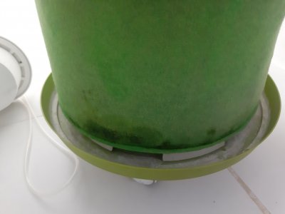 20231003_210652.jpg
